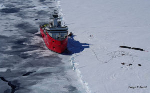 L'astrolabe P800 berthed along seaice edge